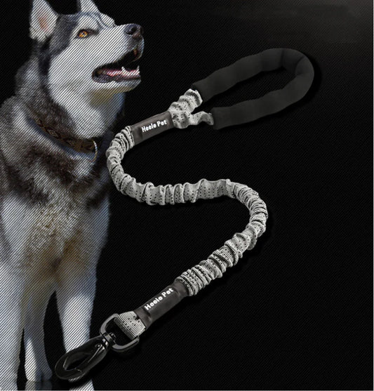 Elastic Dog Traction Rope for Pet Supplies